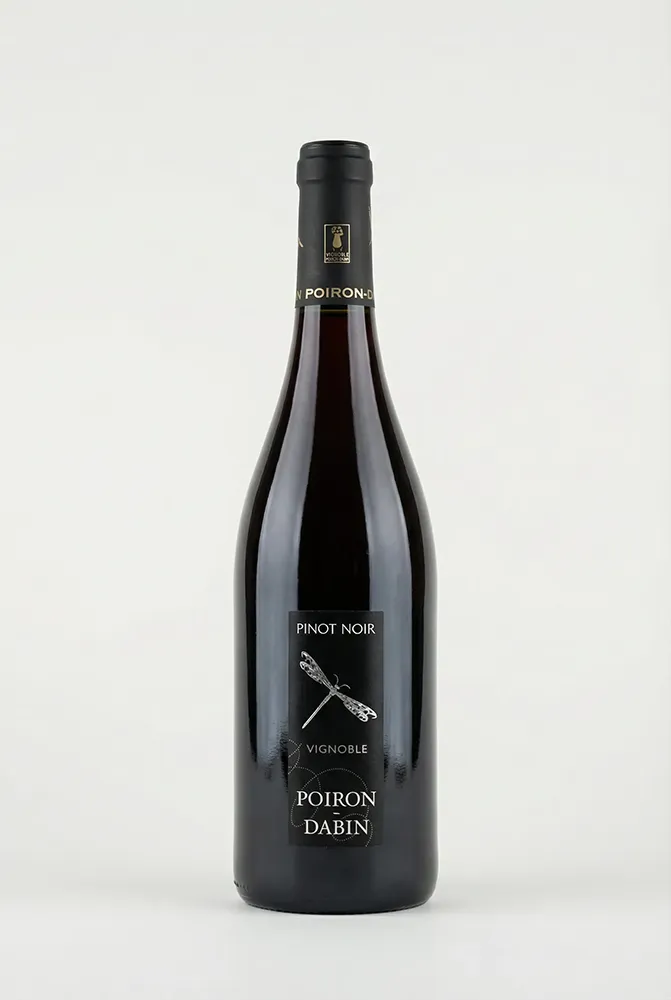 Photoshoot IA bouteille vin packshot fond blanc